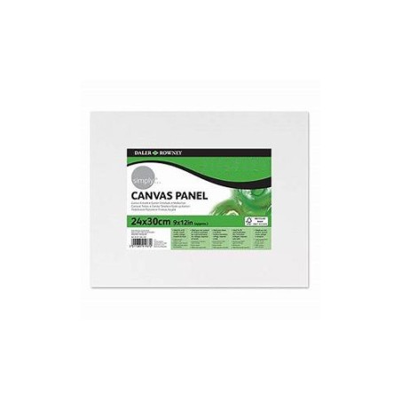 1 - CARTONE TELATO 24X30 DALER SIMPLY D301092430