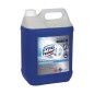 DETERGENTE DISINFETTANTE LYSOFORM 5lt PROFESSIONAL 100887664.Disinfettante Battericida Lieviticida ad azione Detergente e Deodor