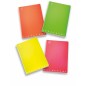 MAXI 21/5M MONOCROMO FLUO PIGNA 226792