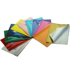 1 - RIPLAST 25 pz Copertine maxi quaderno Colorosa laccato verdino