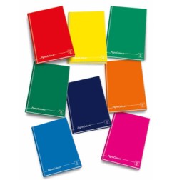 1 - PIGNA Quaderno COLOURS Maxi Cartonato 1R 128 fogli - 217467