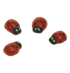 1 - ACCESSORI CREATIVITY COCCINELLA 8X11MM IN LEGNO WD34