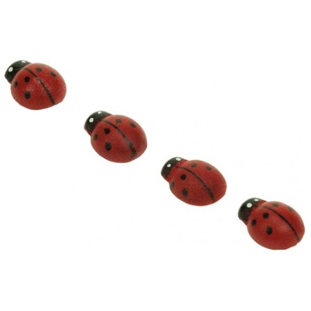 ACCESSORI CREATIVITY COCCINELLA 12X15MM IN LEGNO 30pz WD35