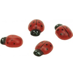 1 - ACCESSORI CREATIVITY COCCINELLA 14X19MM IN LEGNO 20pz WD36