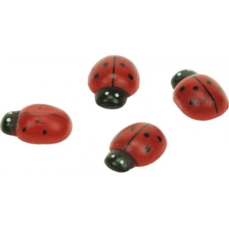 ACCESSORI CREATIVITY COCCINELLA 14X19MM IN LEGNO 20pz WD36