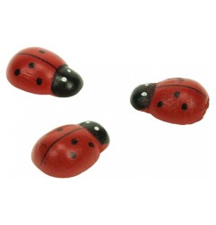 1 - ACCESSORI CREATIVITY COCCINELLA 18X25MM IN LEGNO 12pz WD37