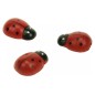 ACCESSORI CREATIVITY COCCINELLA 18X25MM IN LEGNO 12pz WD37