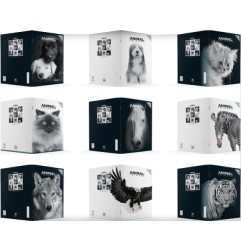 1 - RIPLAST - Conf.8 pz Quaderni ANIMAL FRIENDS B&W Rig.Assortite 28+1 fogli 80 gr 64AFMBW**