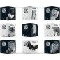 RIPLAST - Conf.8 pz Quaderni ANIMAL FRIENDS B&W Rig.Assortite 28+1 fogli 80 gr 64AFMBW**