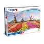 TEOREMA PUZZLE PAESI BASSI - PAESAGGIO 1000 PZ 70X50CM 67027