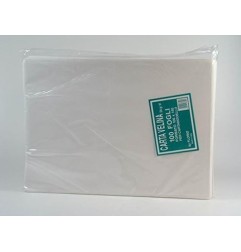 CARTA TAGLIO 100X140 GR.31 -100pz 7003